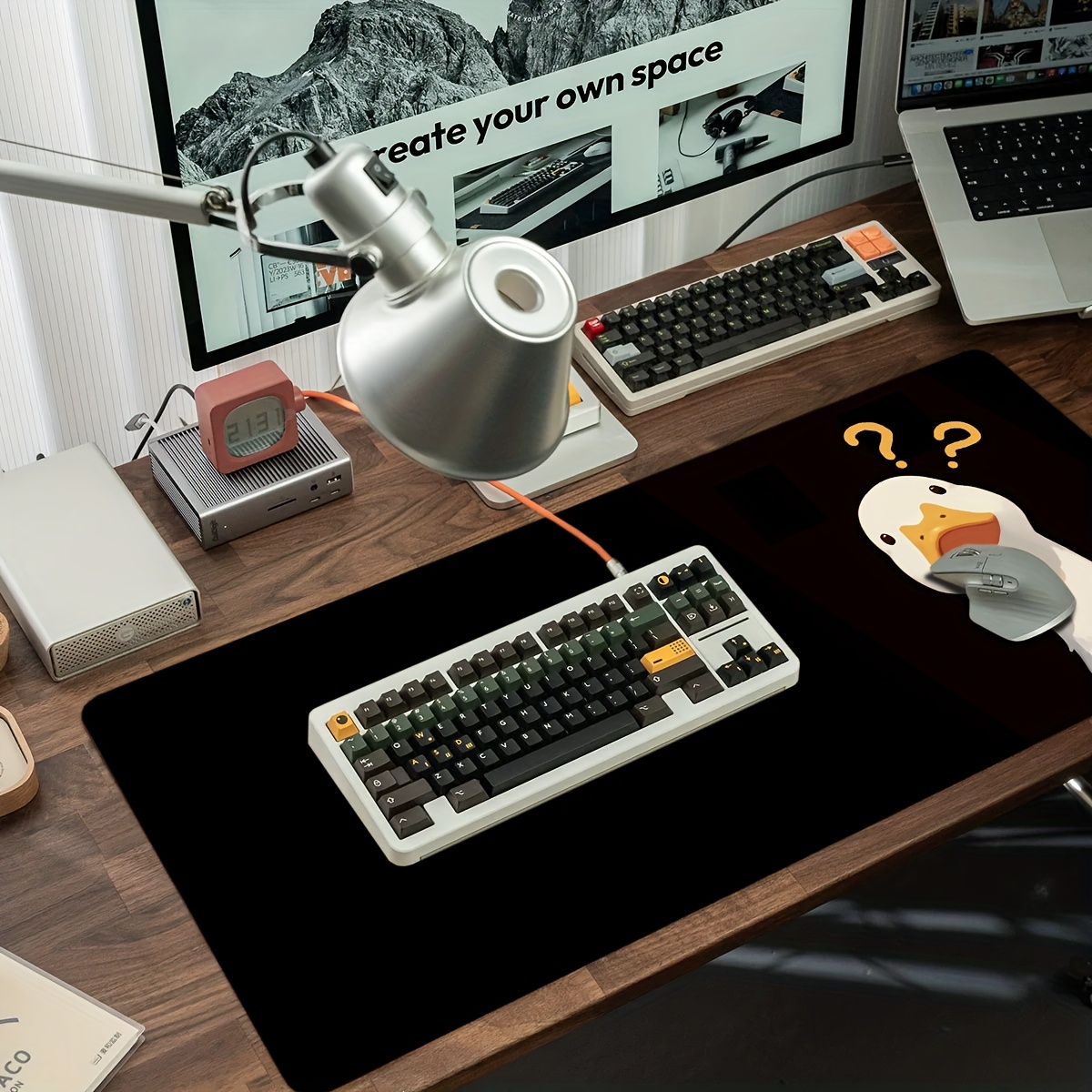 Cute Duck Theme Design, Questi - Home Office Questions review and price